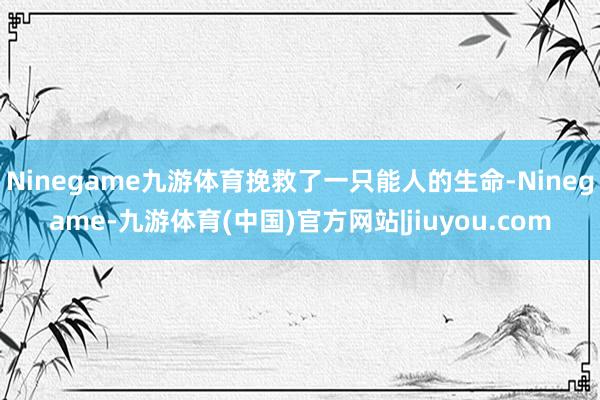 Ninegame九游体育挽救了一只能人的生命-Ninegame-九游体育(中国)官方网站|jiuyou.com