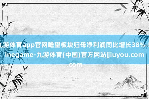 九游体育app官网瞻望板块归母净利润同比增长38%-Ninegame-九游体育(中国)官方网站|jiuyou.com