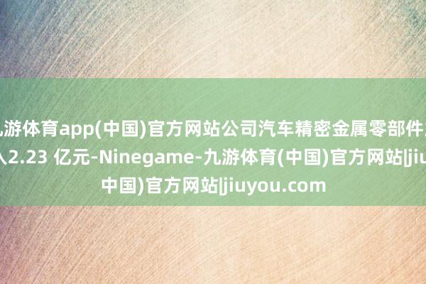 九游体育app(中国)官方网站公司汽车精密金属零部件业求竣事收入2.23 亿元-Ninegame-九游体育(中国)官方网站|jiuyou.com