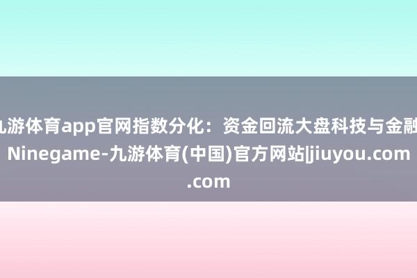 九游体育app官网　　指数分化：资金回流大盘科技与金融-Ninegame-九游体育(中国)官方网站|jiuyou.com