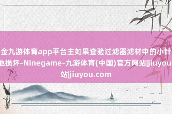 现金九游体育app平台主如果查验过滤器滤材中的小针孔和其他损坏-Ninegame-九游体育(中国)官方网站|jiuyou.com