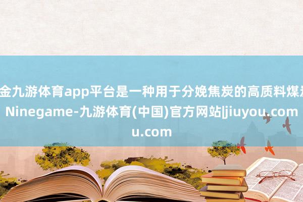 现金九游体育app平台是一种用于分娩焦炭的高质料煤炭-Ninegame-九游体育(中国)官方网站|jiuyou.com
