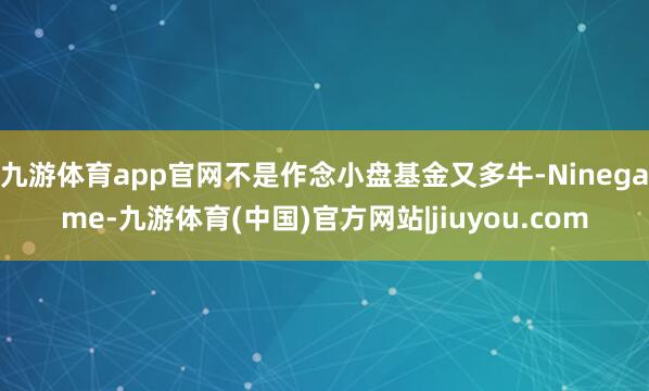 九游体育app官网不是作念小盘基金又多牛-Ninegame-九游体育(中国)官方网站|jiuyou.com